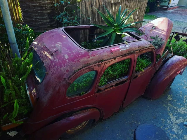 The Green Shed Coffee Roastery