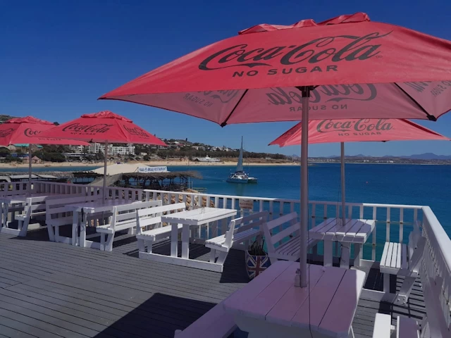 London Bus Fish & Chips